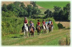 Horse Riding