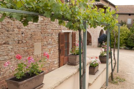 Terrace, La Forge